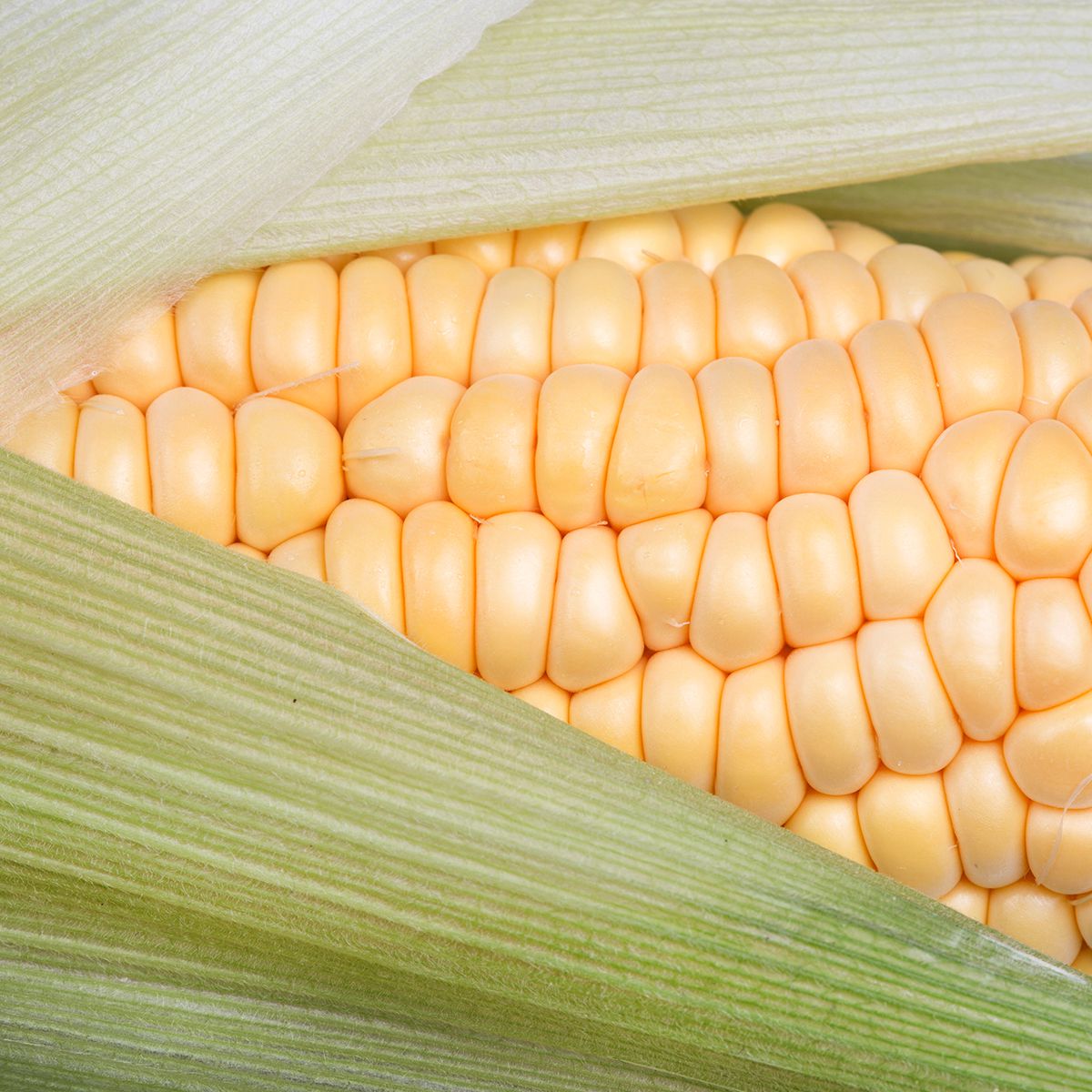 Yellow Corn