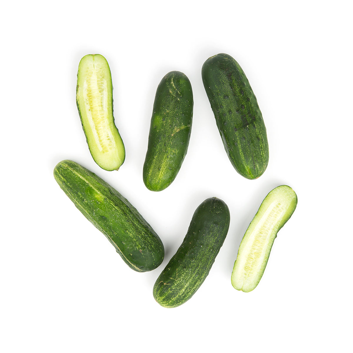 Organic Kirby Cucumbers