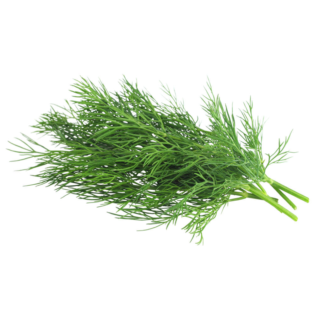 Dill Bunch