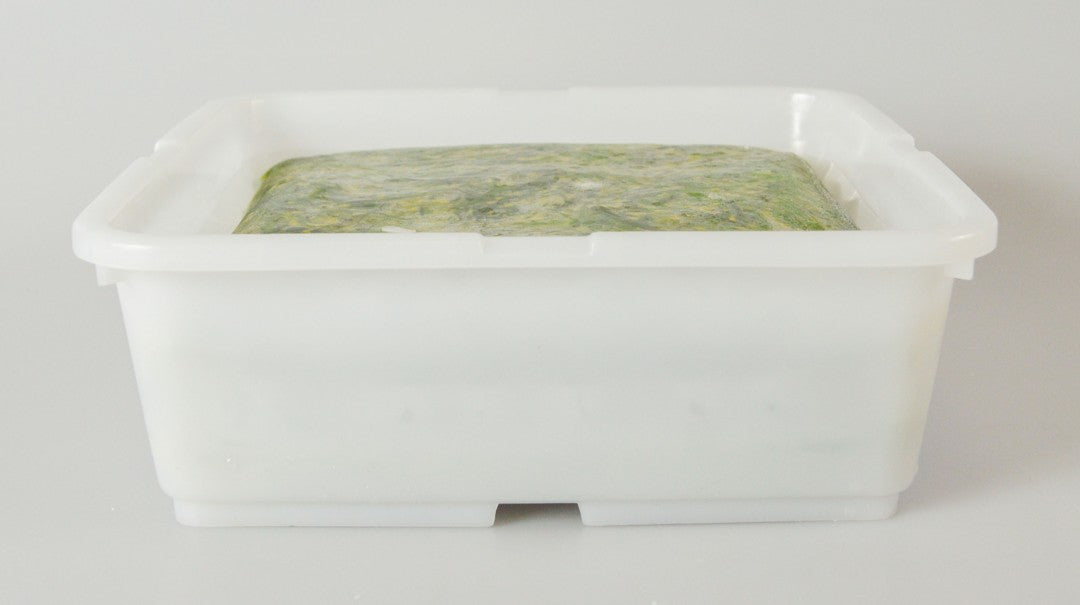 Seaweed Salad