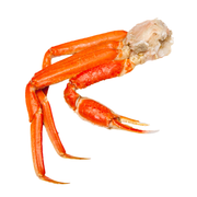 Snow Crab Clusters