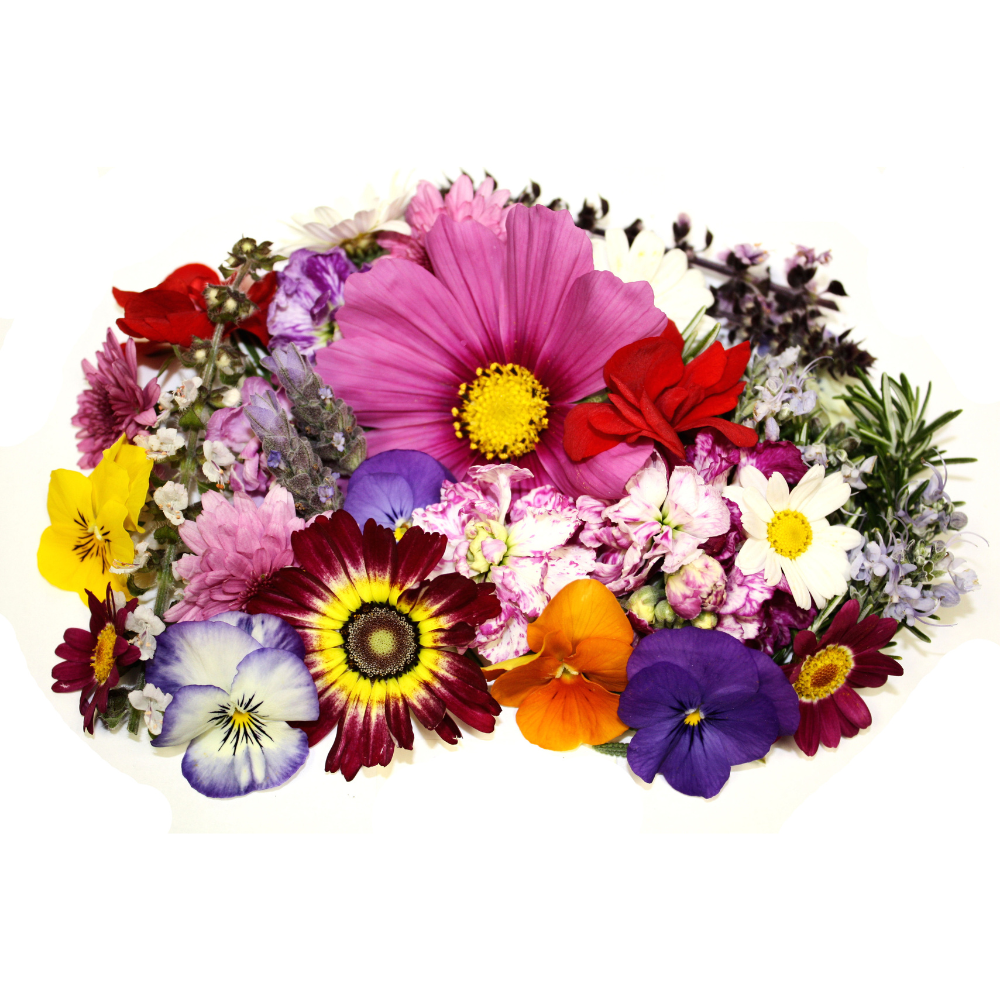 Premium Edible Flowers
