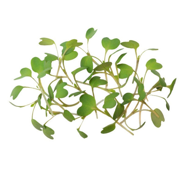 Micro Wasabi