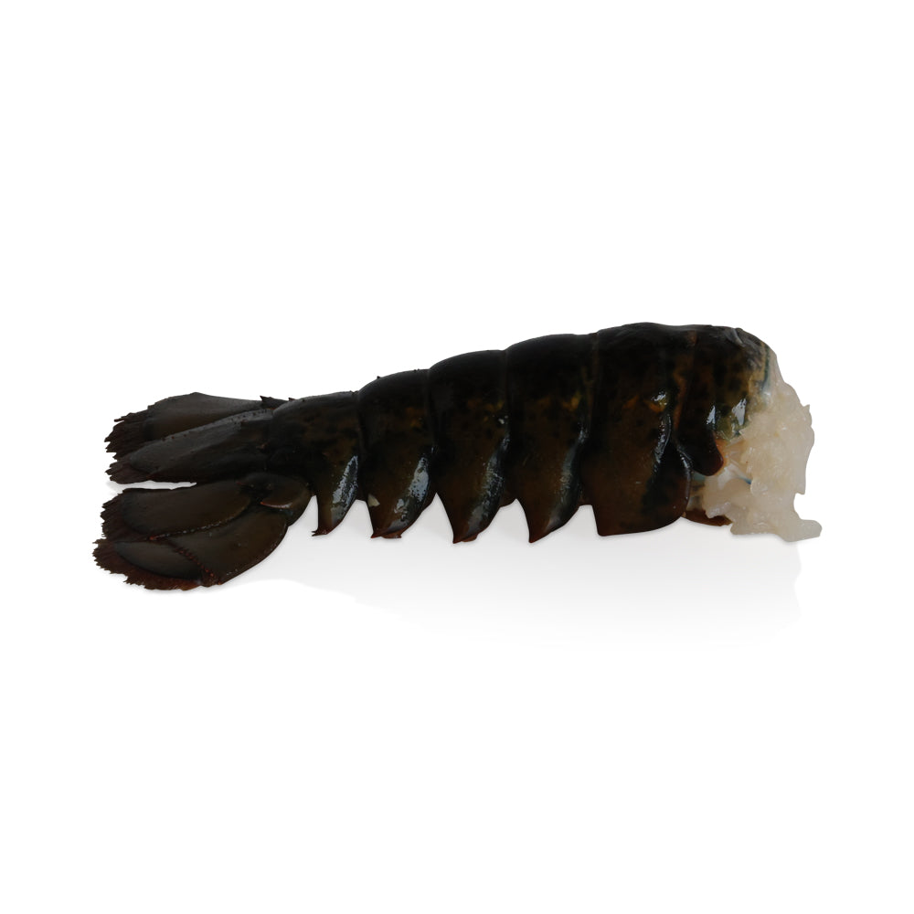 4oz Coldwater Lobster Tail Frozen
