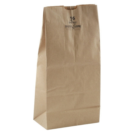 Brown Paper Bag #16