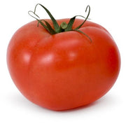 Greenhouse Tomato Tray