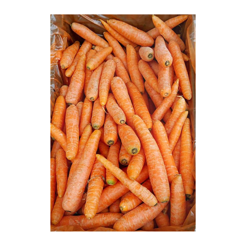 Cello Carrots