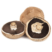 4.5in Portabello Mushroom Cap