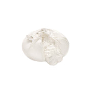 Burrata