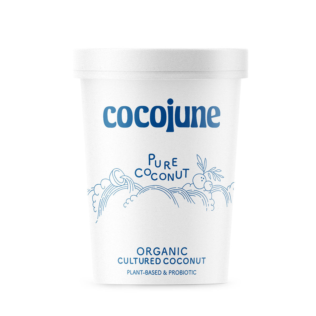 Organic Vegan Coconut Yogurt