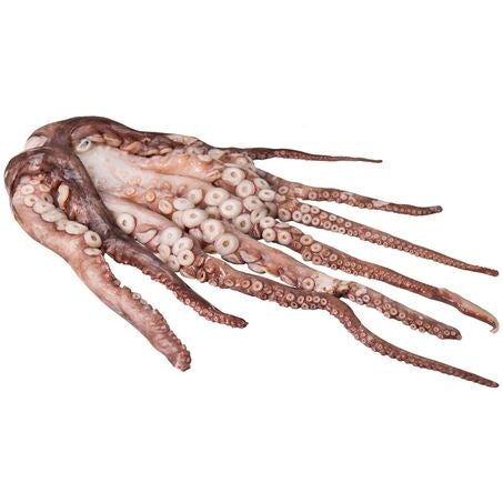 Spanish Octopus 4-6lb