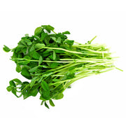 Pea Shoots
