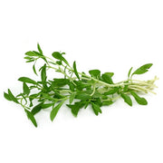 Tarragon