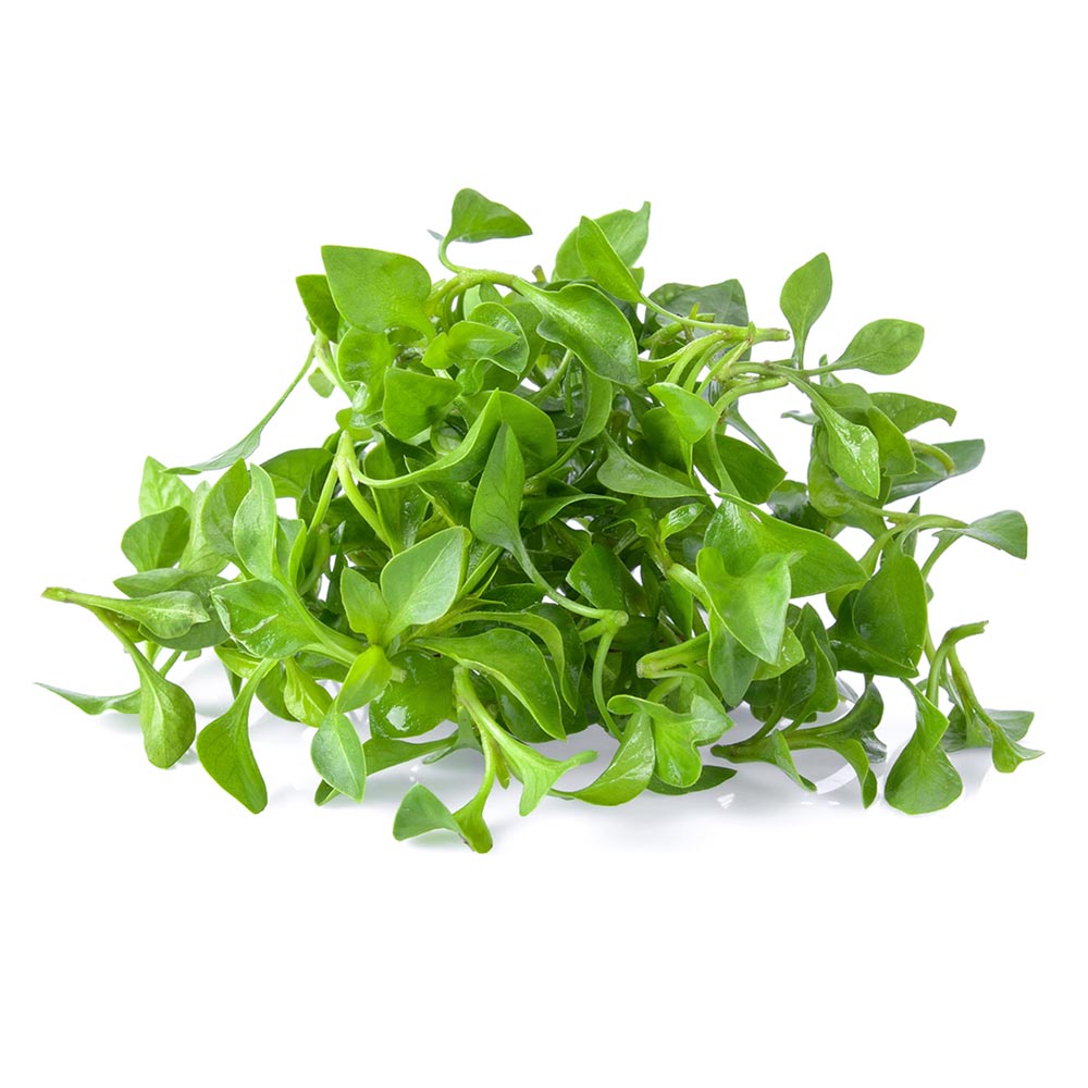 Watercress Bunch