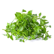 Watercress Bunch