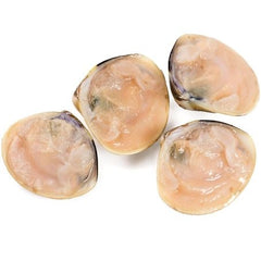 Cooked Half Shell Clams IQF