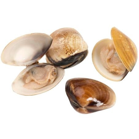Petitneck Clams