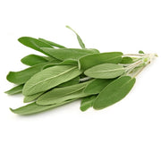 Sage
