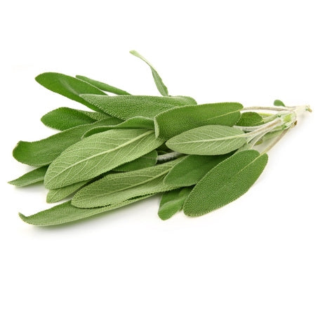 Sage