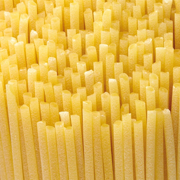 Spaghetti Pasta