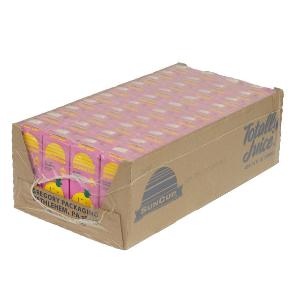 Fruit Punch Juice Box 6.75oz