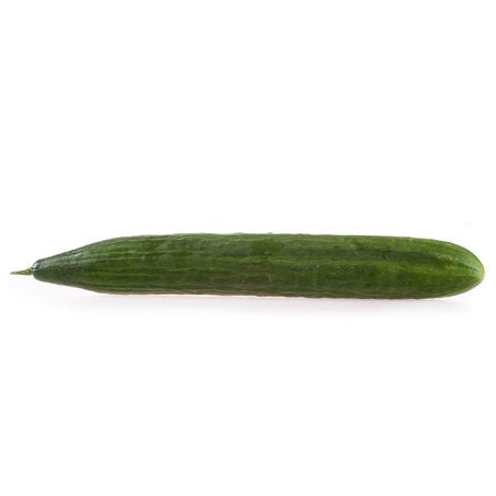 Hot House Seedless Cucumber
