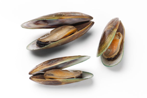 New Zealand Green Lip Mussel