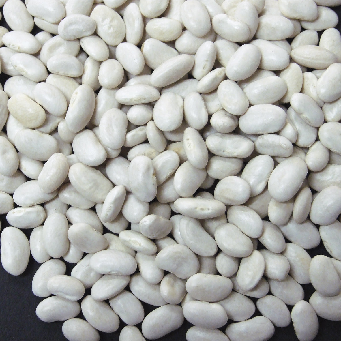 Dry Great Northern Beans