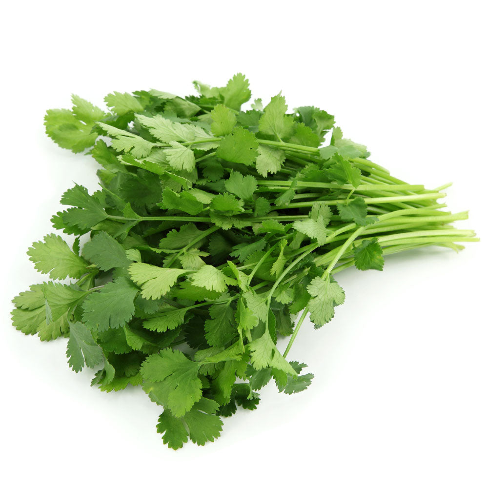 Cilantro 1lb