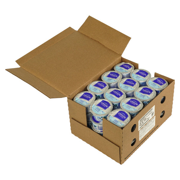 Nonfat Blueberry Yogurt