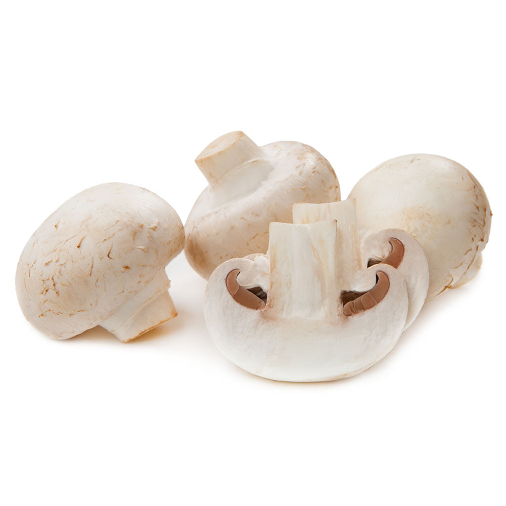 Food Service Mushroom