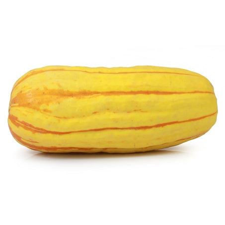 Delicata Squash