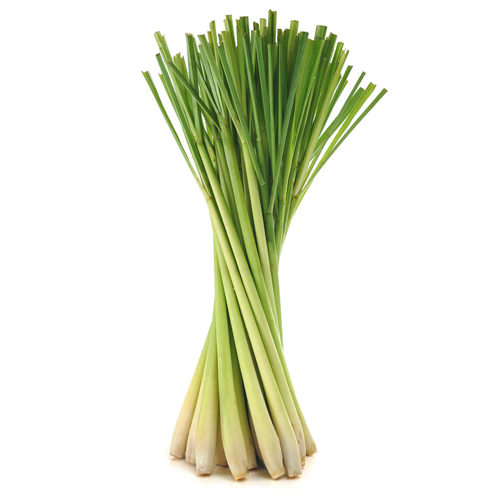 Lemon Grass