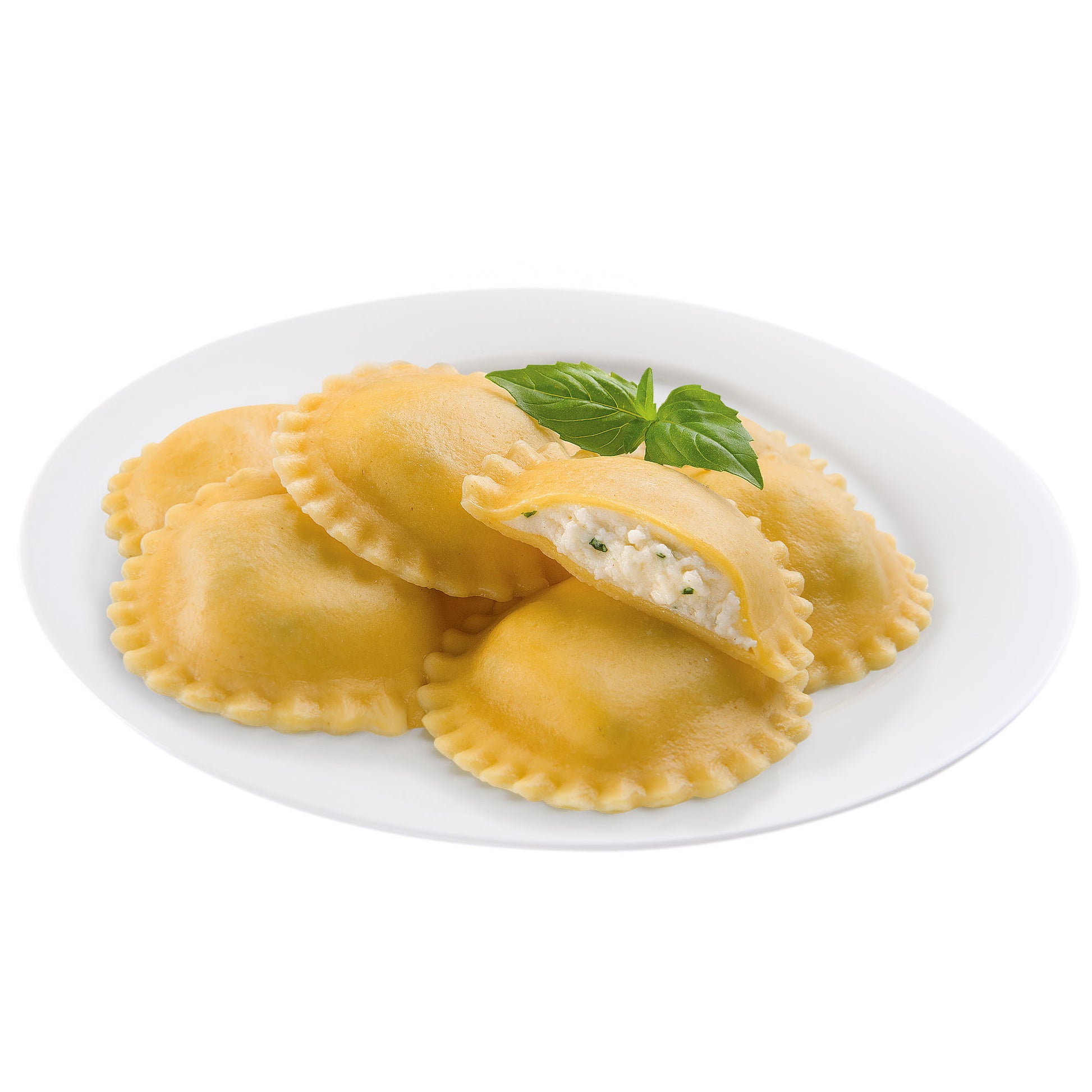Large Round Cheese Ravioli