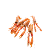 Jumbo Langostines