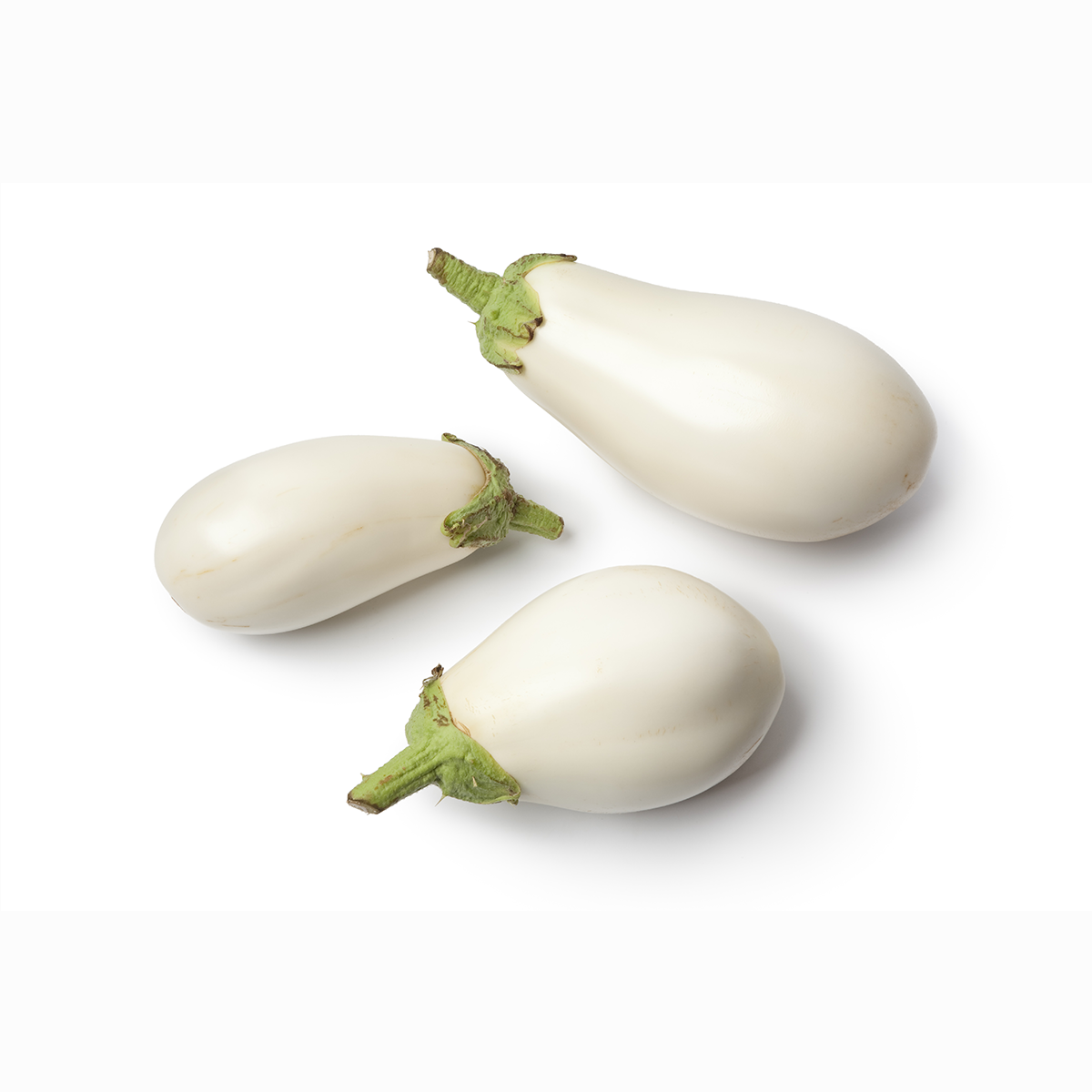 White Eggplant