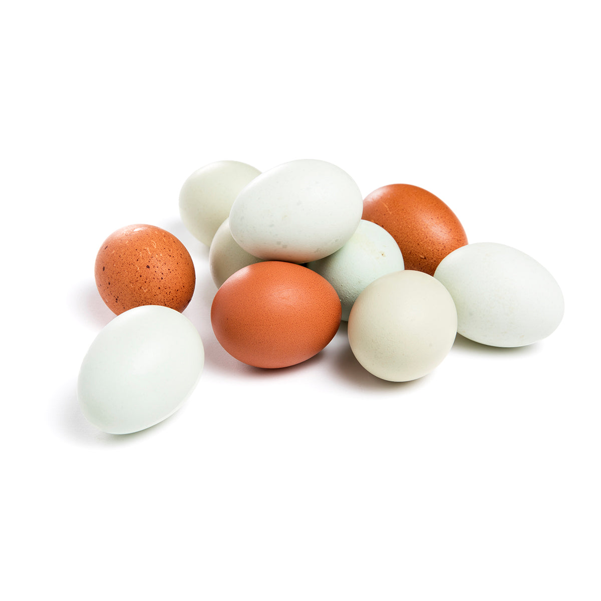 Free Range Blue & Brown Heritage Eggs