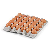 Pasture-Raised Large Shell Eggs