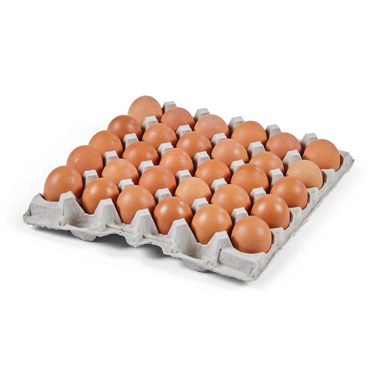 Pasture-Raised Large Shell Eggs