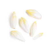 Belgian Endive