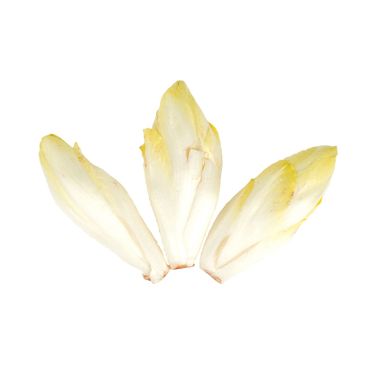Organic Endive