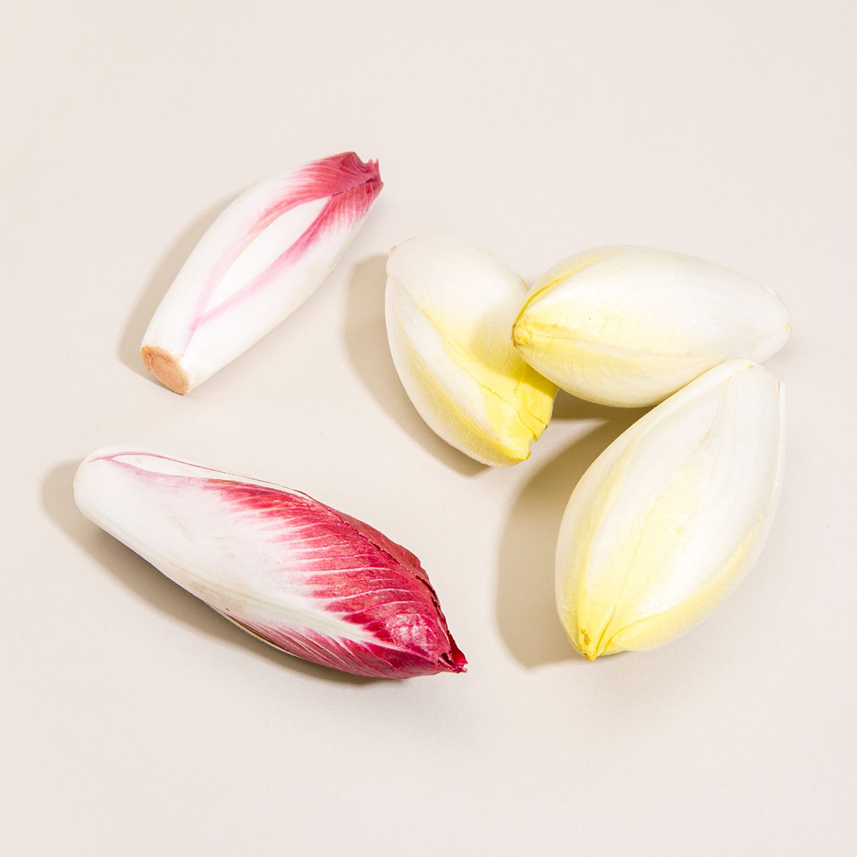 Red Endive