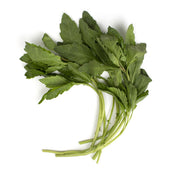Epazote