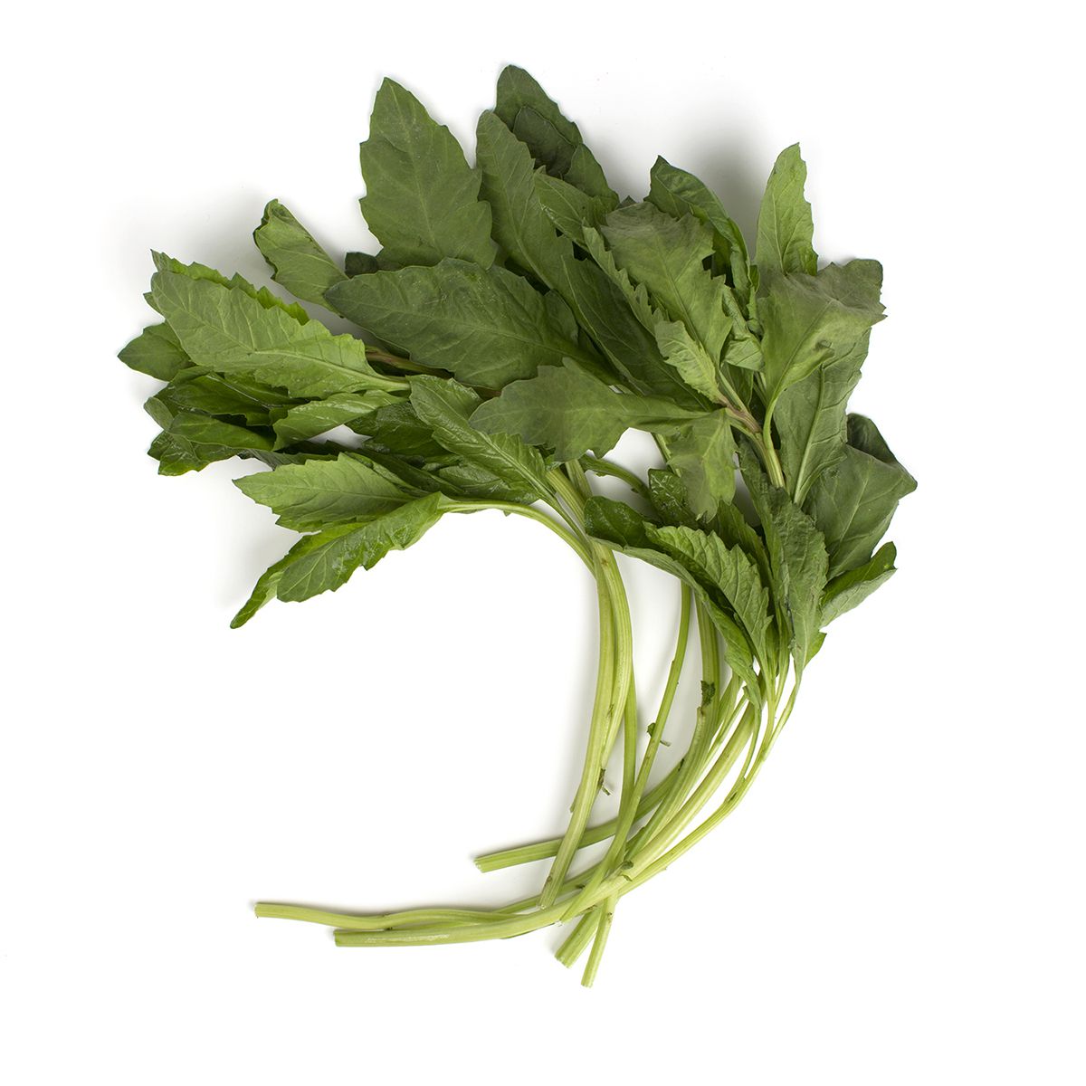 Epazote