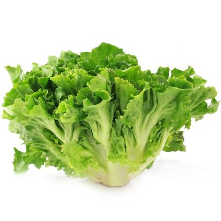 Escarole