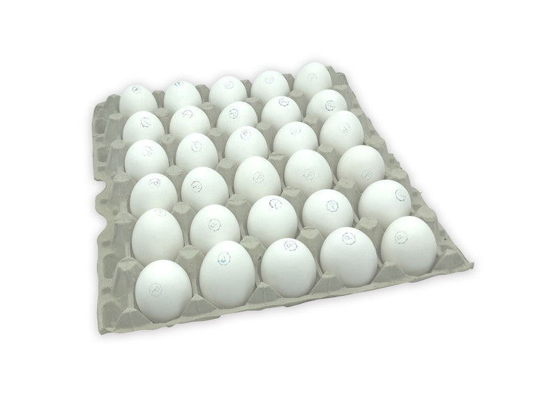 EGG LARGE LOOSE CAGE FREE 15DOZ