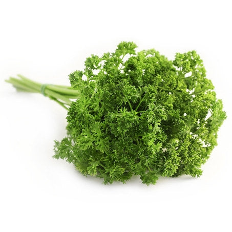 Curly Parsley