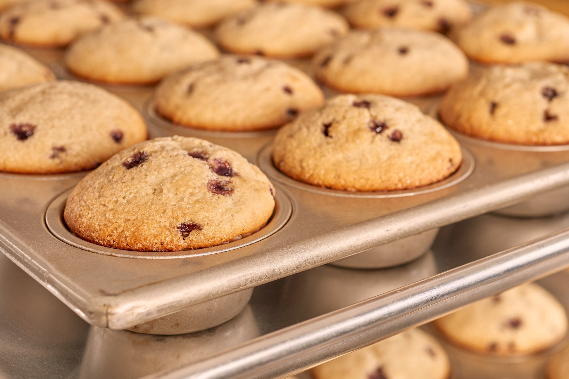 Blueberry Muffin Mix
