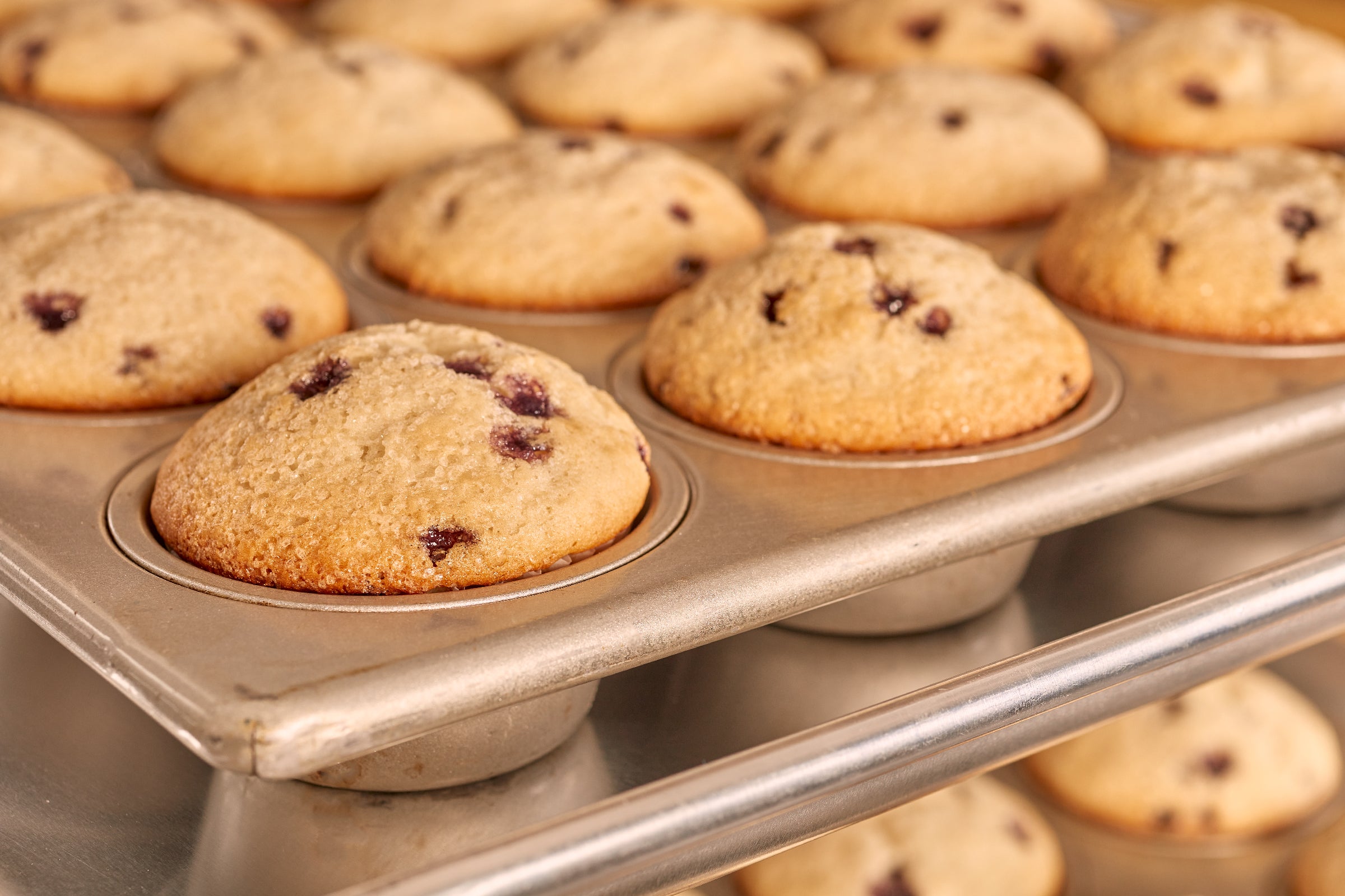 Blueberry Muffin Mix