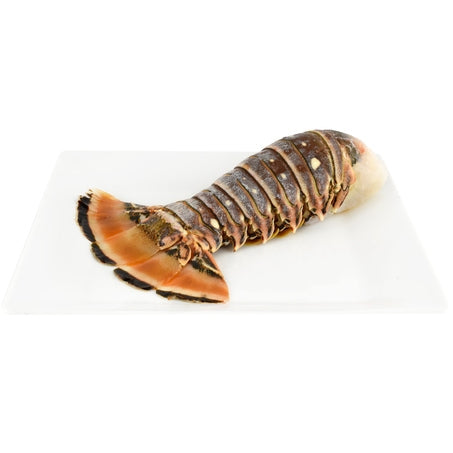 6oz Warm Water Lobster Tail